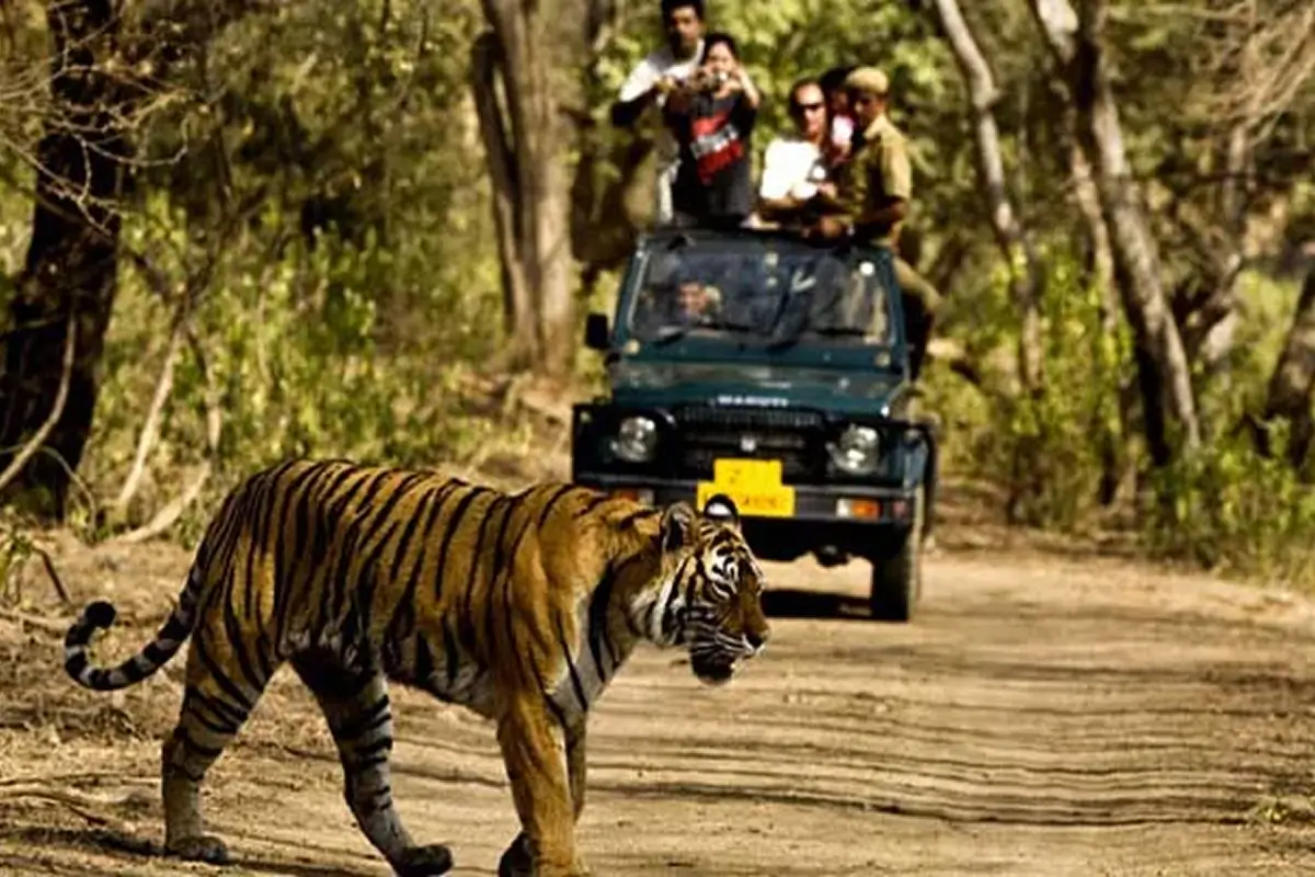 Jungle Safari in Dandeli